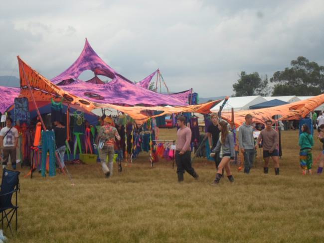 an instant of life captured for eternity Image