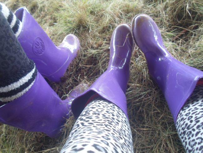 an instant of life captured for eternity Image