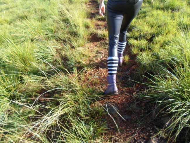 an instant of life captured for eternity Image