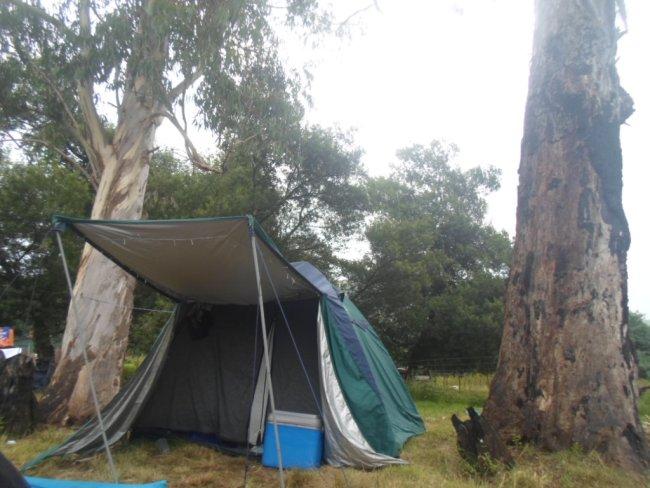 an instant of life captured for eternity Image