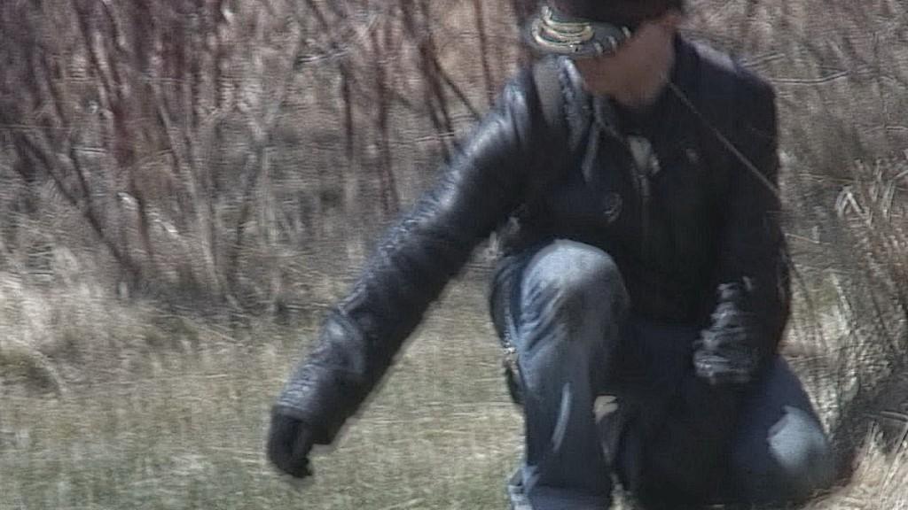 Mink Hunts Muskrats in Ontario Swamp man holds out his hand to weasel