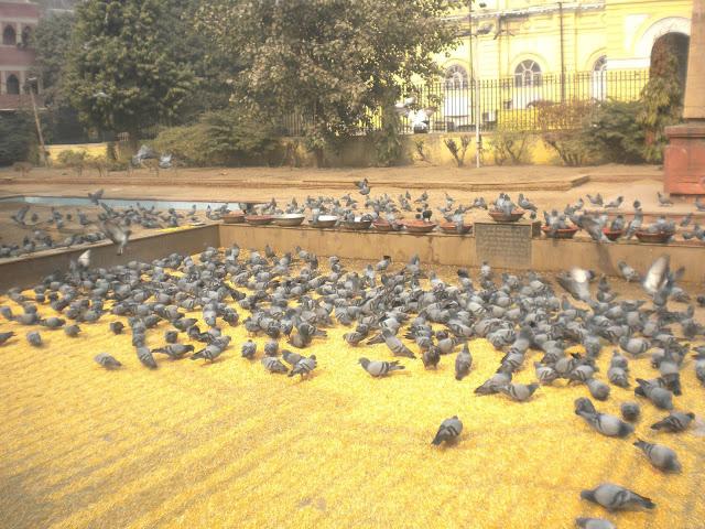 My date with Chandni Chowk My date with Chandni Chowk