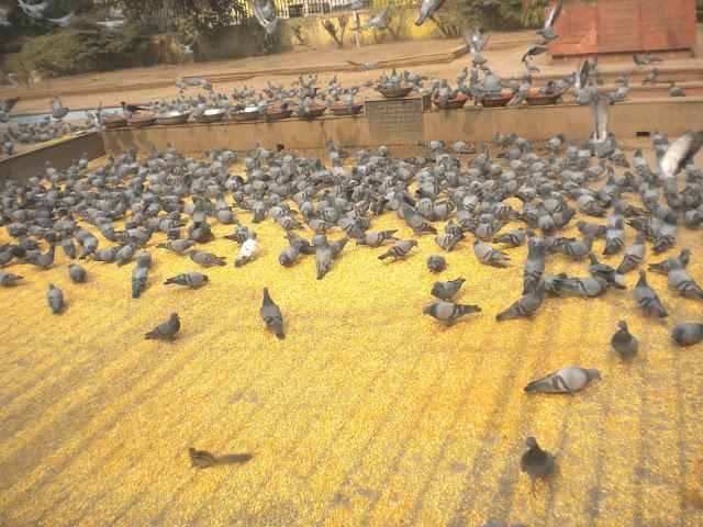 My date with Chandni Chowk My date with Chandni Chowk