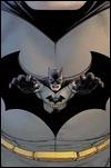 BATMAN, INCORPORATED #13