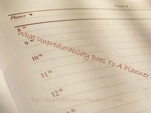 What Unpredictability Does To A Planner planner