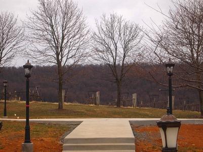 OLYMPUS DIGITAL CAMERA OLYMPUS DIGITAL CAMERA