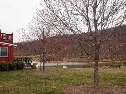 OLYMPUS DIGITAL CAMERA OLYMPUS DIGITAL CAMERA