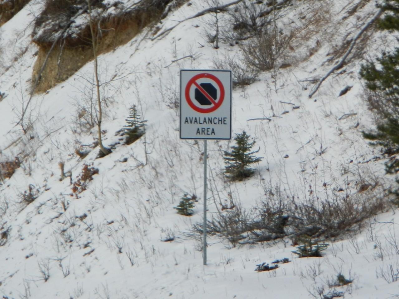 There were many of these avalanche Area Signs