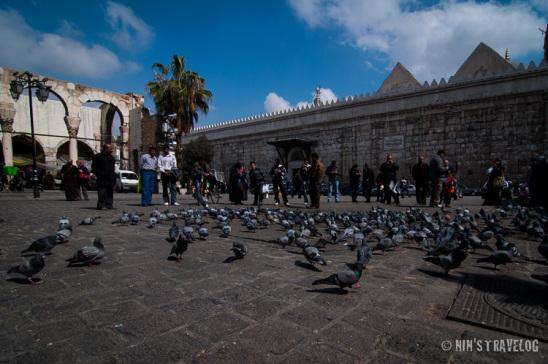 Bit of the temple and Umayyad mosque wall