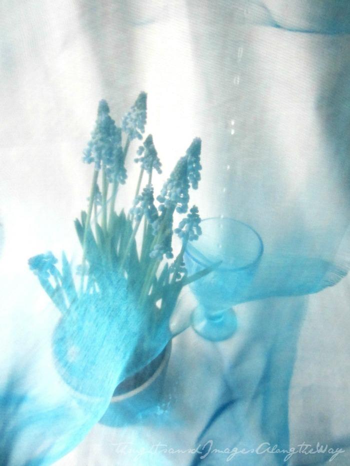 Splash / Turquoise {Nurture Photography}