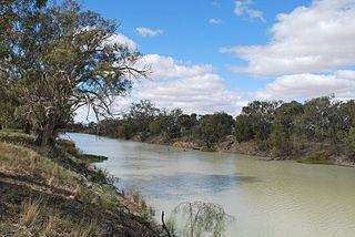 The Darling River Isn't Cotton Country