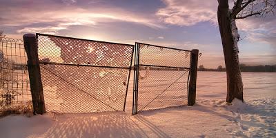 Marijuana and the Gateway Hypothesis Marijuana and the Gateway Hypothesis