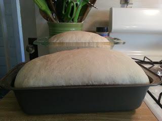 homemade bread baking