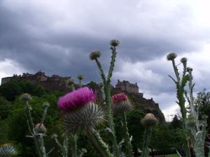 Edinburgh Castle, Thistle
