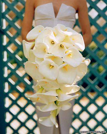 Fancy Bridal Bouquet Ideas Gorgeous I like the simple look myself