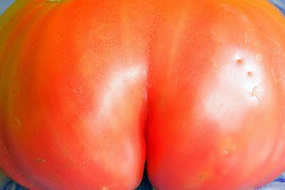 Tomato Pasting
