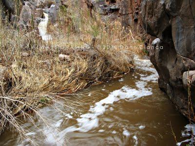 2011 - April 6th - Big Dominguez Creek (Falls & Petroglyphs), Dominguez-Escalante National Conservation Area / Dominguez Canyon Wilderness