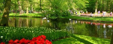 Tulip field Amsterdam Travelling through Time and Relative Dimension in Space