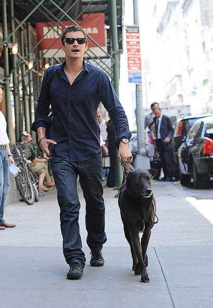 Celebrity Idol with their dogs Celebrity Idol with their dogs