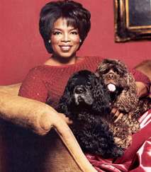 Celebrity Idol with their dogs Celebrity Idol with their dogs