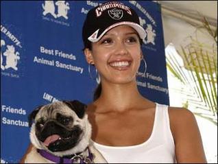 Celebrity Idol with their dogs Celebrity Idol with their dogs