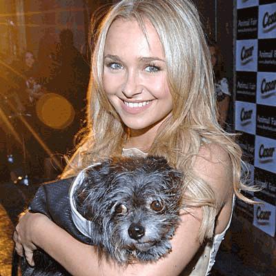 Celebrity Idol with their dogs Celebrity Idol with their dogs