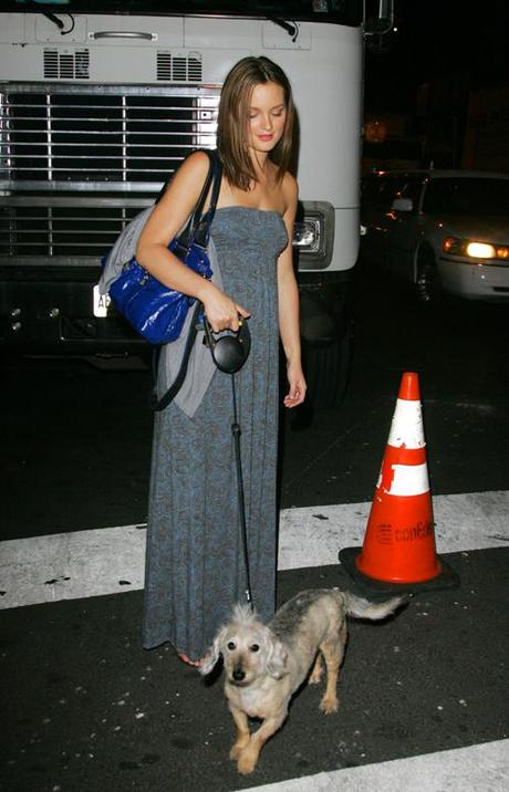 Celebrity Idol with their dogs Celebrity Idol with their dogs