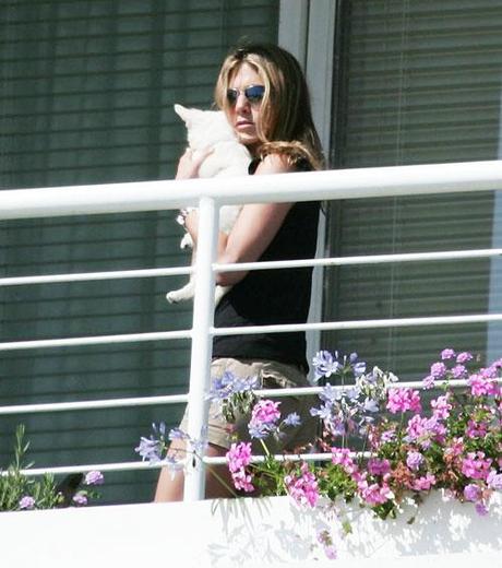 Celebrity Idol with their dogs Celebrity Idol with their dogs