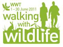 WWT announces the national Walking with Wildlife competition winner