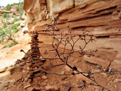 2011 - April 20th - Rattlesnake Arches, McInnis Canyons National Conservation Area / Black Ridge Canyons Wilderness 2011 - April 20th - Rattlesnake Arches, McInnis Canyons National Conservation Area / Black Ridge Canyons Wilderness