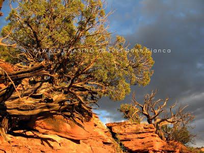 2011 - April 20th - Rattlesnake Arches, McInnis Canyons National Conservation Area / Black Ridge Canyons Wilderness 2011 - April 20th - Rattlesnake Arches, McInnis Canyons National Conservation Area / Black Ridge Canyons Wilderness