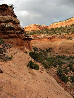 2011 - April 20th - Rattlesnake Arches, McInnis Canyons National Conservation Area / Black Ridge Canyons Wilderness 2011 - April 20th - Rattlesnake Arches, McInnis Canyons National Conservation Area / Black Ridge Canyons Wilderness