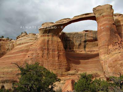 2011 - April 20th - Rattlesnake Arches, McInnis Canyons National Conservation Area / Black Ridge Canyons Wilderness 2011 - April 20th - Rattlesnake Arches, McInnis Canyons National Conservation Area / Black Ridge Canyons Wilderness