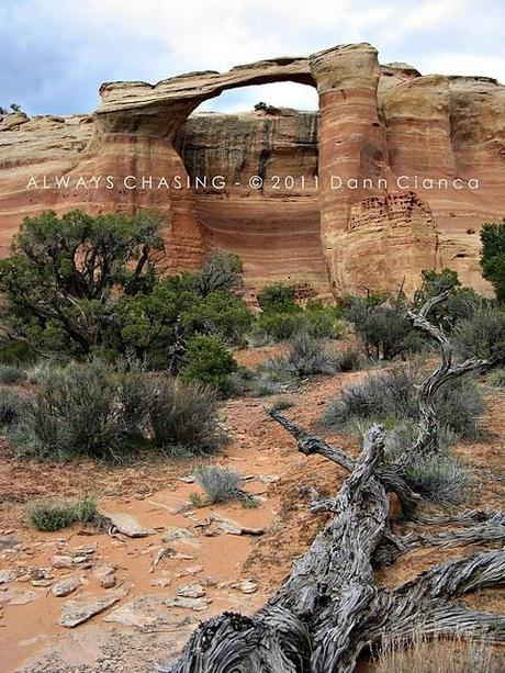 2011 - April 20th - Rattlesnake Arches, McInnis Canyons National Conservation Area / Black Ridge Canyons Wilderness 2011 - April 20th - Rattlesnake Arches, McInnis Canyons National Conservation Area / Black Ridge Canyons Wilderness