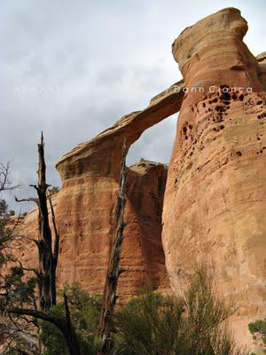 2011 - April 20th - Rattlesnake Arches, McInnis Canyons National Conservation Area / Black Ridge Canyons Wilderness 2011 - April 20th - Rattlesnake Arches, McInnis Canyons National Conservation Area / Black Ridge Canyons Wilderness