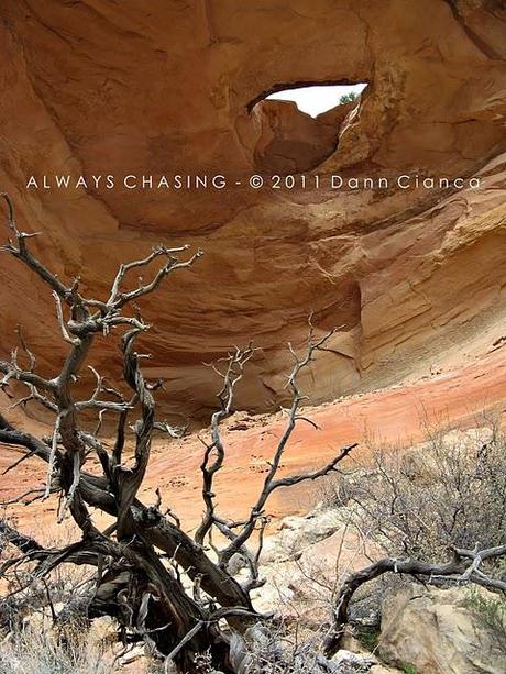 2011 - April 20th - Rattlesnake Arches, McInnis Canyons National Conservation Area / Black Ridge Canyons Wilderness 2011 - April 20th - Rattlesnake Arches, McInnis Canyons National Conservation Area / Black Ridge Canyons Wilderness