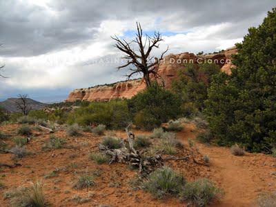 2011 - April 20th - Rattlesnake Arches, McInnis Canyons National Conservation Area / Black Ridge Canyons Wilderness 2011 - April 20th - Rattlesnake Arches, McInnis Canyons National Conservation Area / Black Ridge Canyons Wilderness