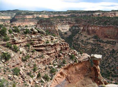 2011 - April 20th - Rattlesnake Arches, McInnis Canyons National Conservation Area / Black Ridge Canyons Wilderness 2011 - April 20th - Rattlesnake Arches, McInnis Canyons National Conservation Area / Black Ridge Canyons Wilderness