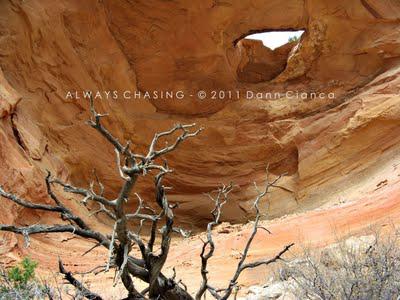 2011 - April 20th - Rattlesnake Arches, McInnis Canyons National Conservation Area / Black Ridge Canyons Wilderness 2011 - April 20th - Rattlesnake Arches, McInnis Canyons National Conservation Area / Black Ridge Canyons Wilderness