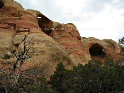 2011 - April 20th - Rattlesnake Arches, McInnis Canyons National Conservation Area / Black Ridge Canyons Wilderness 2011 - April 20th - Rattlesnake Arches, McInnis Canyons National Conservation Area / Black Ridge Canyons Wilderness