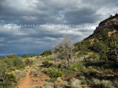 2011 - April 20th - Rattlesnake Arches, McInnis Canyons National Conservation Area / Black Ridge Canyons Wilderness 2011 - April 20th - Rattlesnake Arches, McInnis Canyons National Conservation Area / Black Ridge Canyons Wilderness