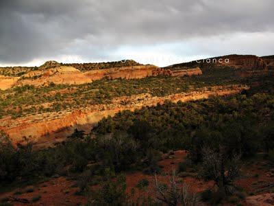 2011 - April 20th - Rattlesnake Arches, McInnis Canyons National Conservation Area / Black Ridge Canyons Wilderness 2011 - April 20th - Rattlesnake Arches, McInnis Canyons National Conservation Area / Black Ridge Canyons Wilderness