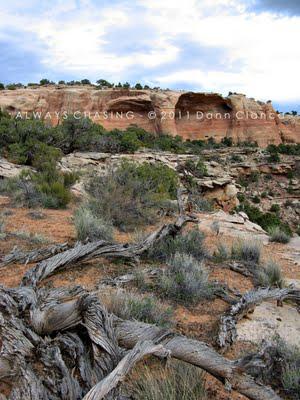 2011 - April 20th - Rattlesnake Arches, McInnis Canyons National Conservation Area / Black Ridge Canyons Wilderness 2011 - April 20th - Rattlesnake Arches, McInnis Canyons National Conservation Area / Black Ridge Canyons Wilderness