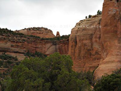 2011 - April 20th - Rattlesnake Arches, McInnis Canyons National Conservation Area / Black Ridge Canyons Wilderness 2011 - April 20th - Rattlesnake Arches, McInnis Canyons National Conservation Area / Black Ridge Canyons Wilderness