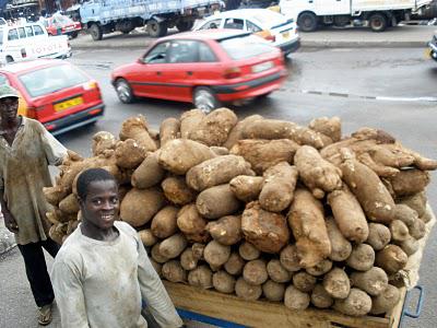 A Starchy Post - the mighty yam and others