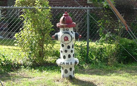 26 Cool Fire Hydrants