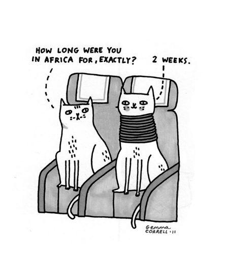 Smart is Sexy Sunday's : Interview with Gemma Correll