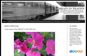 Indiana Blogs: Brain in Trainin