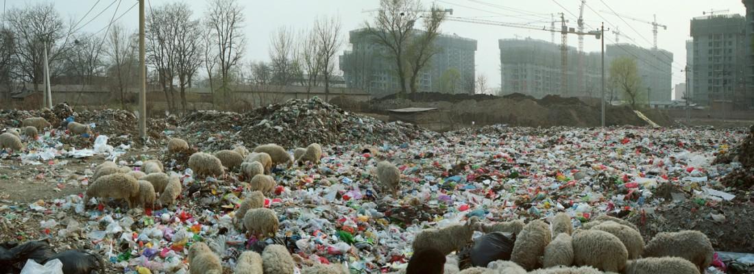 A frame from the Beijing Besieged by Waste (2011) documentary film. (Credit: dGenerate Films)