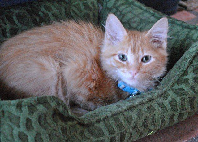 The Eve of Destruction, #658 Wilbur